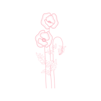 Garden Roses Flowers