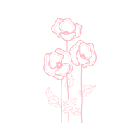 Garden Roses Flowers