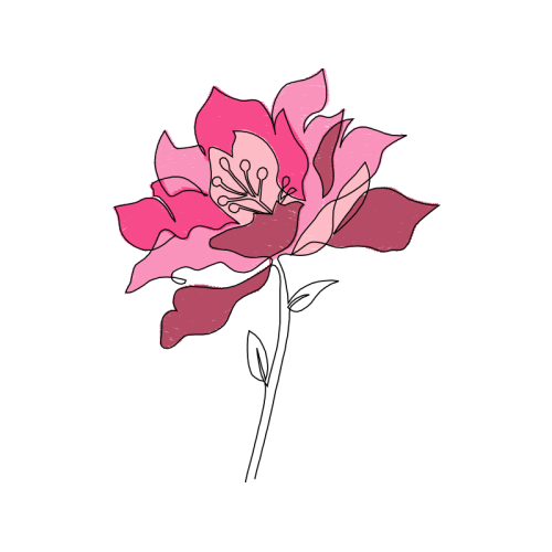 Garden Roses Flowers Garden Roses Flowers