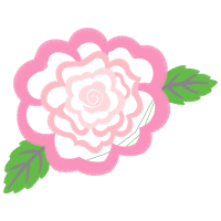 Garden Roses Flowers Garden Roses Flowers