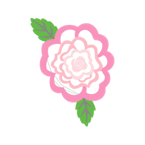 Garden Roses Flowers Garden Roses Flowers