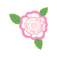 Garden Roses Flowers Garden Roses Flowers