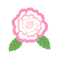 Garden Roses Flowers Garden Roses Flowers