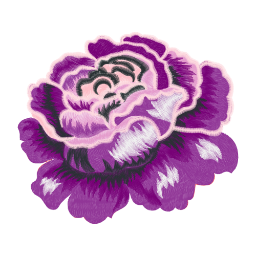 Garden Roses Flowers Garden Roses Flowers