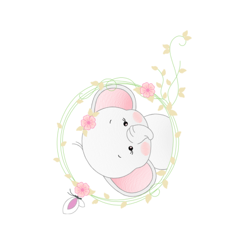 Garden Roses Flowers Garden Roses Flowers