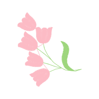 Garden Roses Flowers