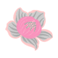 Garden Roses Flowers Garden Roses Flowers