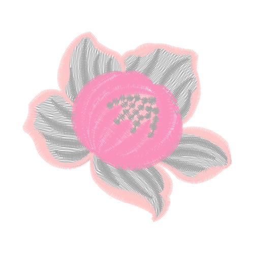 Garden Roses Flowers Garden Roses Flowers