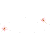 Garden Roses Flowers Garden Roses Flowers