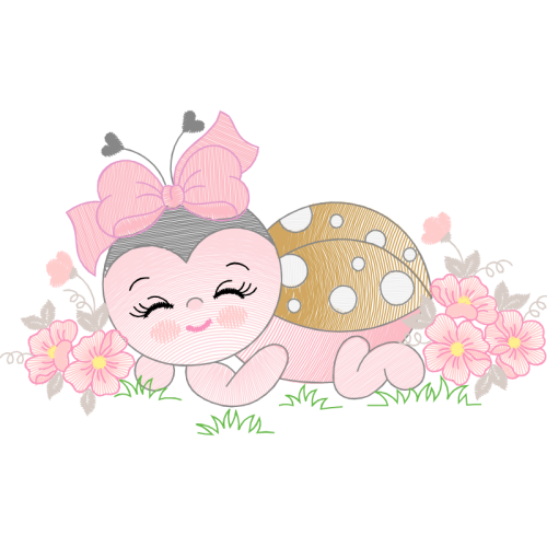 Garden Roses Flowers Garden Roses Flowers