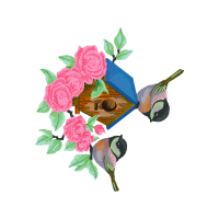 Garden Roses Flowers Garden Roses Flowers