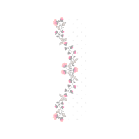 Garden Roses Flowers