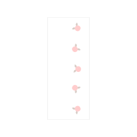 Garden Roses Flowers