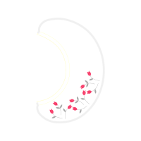 Garden Roses Flowers