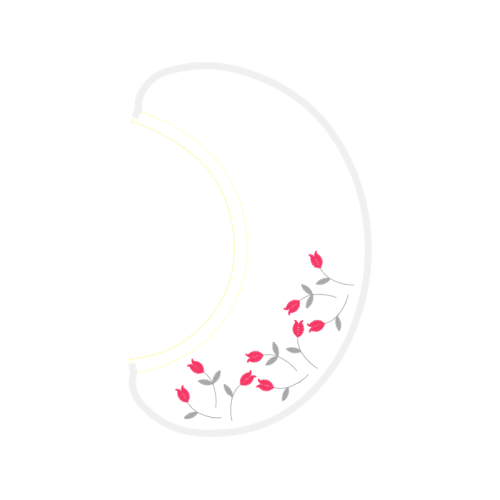 Garden Roses Flowers Garden Roses Flowers