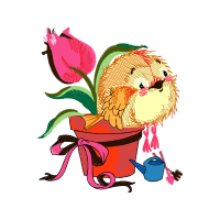 Garden Roses Flowers