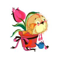 Garden Roses Flowers