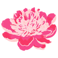 Garden Roses Flowers