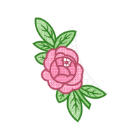 Garden Roses Flowers Garden Roses Flowers