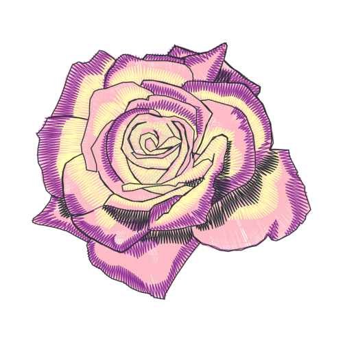 Garden Roses Flowers Garden Roses Flowers