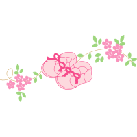 Garden Roses Flowers