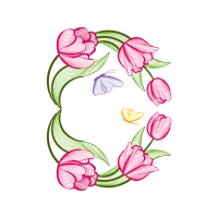 Garden Roses Flowers