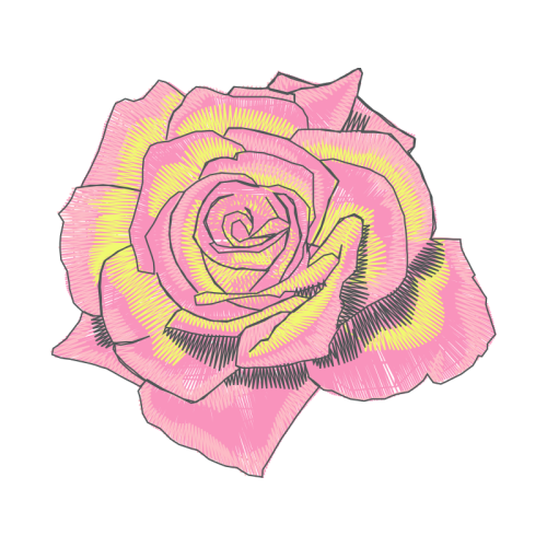 Garden Roses Flowers Garden Roses Flowers