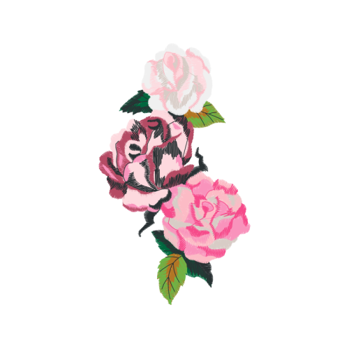 Garden Roses Flowers Garden Roses Flowers