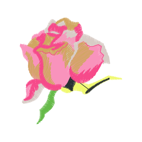 Garden Roses Flowers Garden Roses Flowers