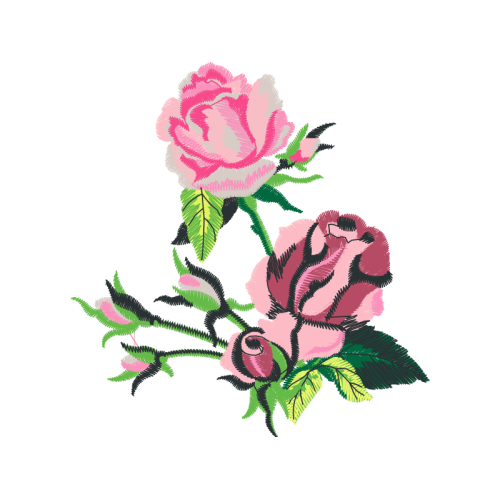 Garden Roses Flowers Garden Roses Flowers