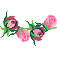 Garden Roses Flowers