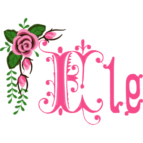 Garden Roses Flowers Garden Roses Flowers