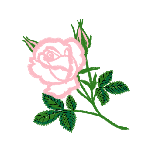 Garden Roses Flowers Garden Roses Flowers