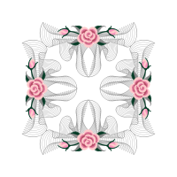 Garden Roses Flowers Garden Roses Flowers