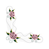 Garden Roses Flowers Garden Roses Flowers