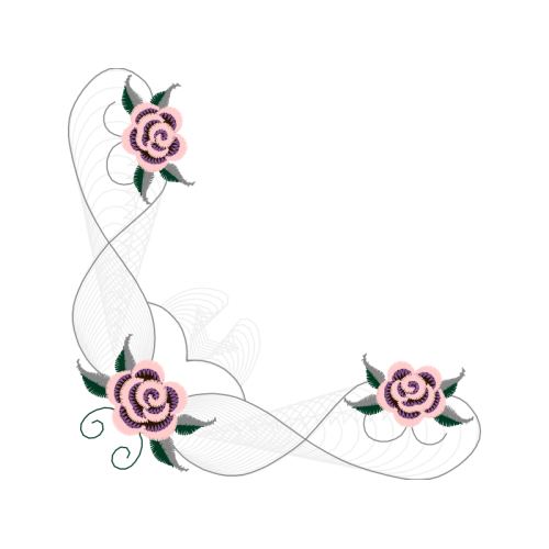 Garden Roses Flowers Garden Roses Flowers