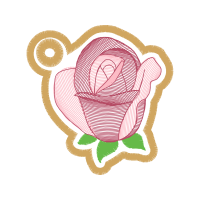 Garden Roses Flowers Garden Roses Flowers