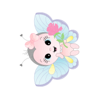 Garden Roses Flowers Garden Roses Flowers