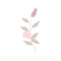 Garden Roses Flowers