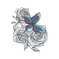 Garden Roses Flowers Garden Roses Flowers