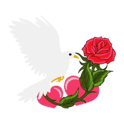 Garden Roses Flowers Garden Roses Flowers