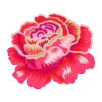 Garden Roses Flowers Garden Roses Flowers