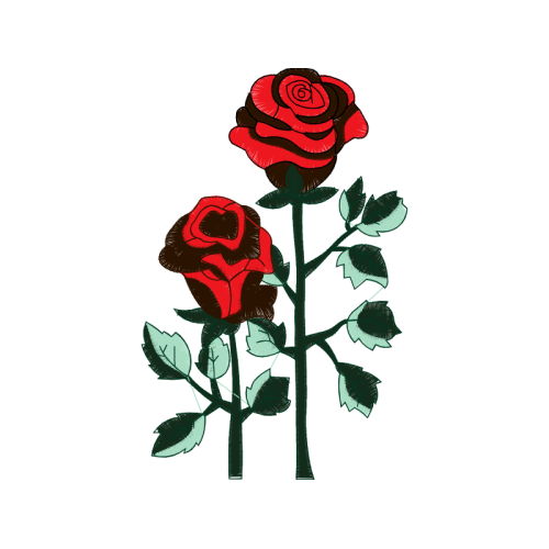 Garden Roses Flowers Garden Roses Flowers