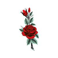 Garden Roses Flowers Garden Roses Flowers