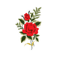 Garden Roses Flowers