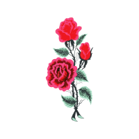 Garden Roses Flowers