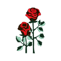 Garden Roses Flowers