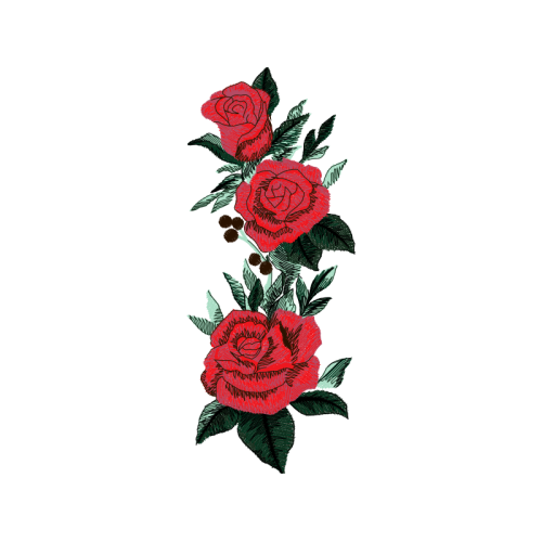 Garden Roses Flowers Garden Roses Flowers