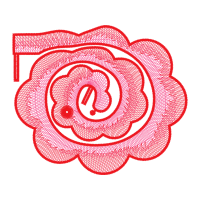 Garden Roses Flowers Garden Roses Flowers