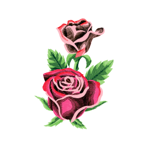 Garden Roses Flowers Garden Roses Flowers